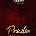 Corizo Priscilla artwork 1611972622817 768x805 1