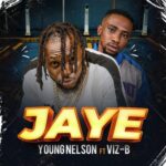 Young Nelson Ft Viz B Jaye 9jaflaver.com 1