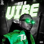 Its A Vibe by TLO 1