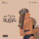 Voxlyrics.com DJ Cora – Now You Are Talking