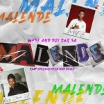 Malende Song by W4DE Ft. Djy Zan SA, Shoesmeister & NCAYB