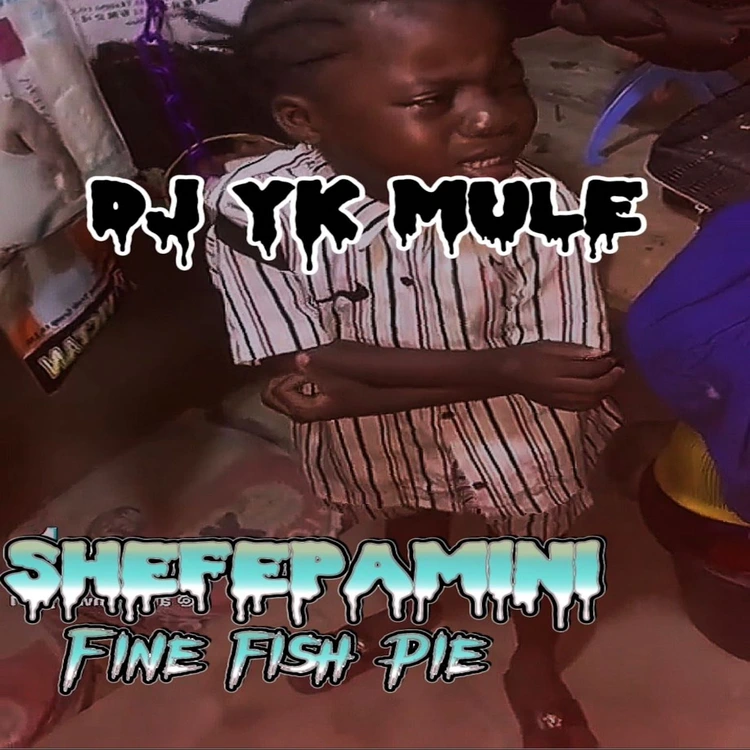 Shefepamini Fine Fish Pie Song by Dj Yk Mule