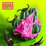 Boj Jabo Ft. Odumodublvck