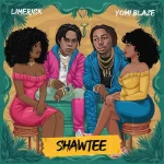 Limerick – Shawtee Ft. Yomi Blaze 1024x1024