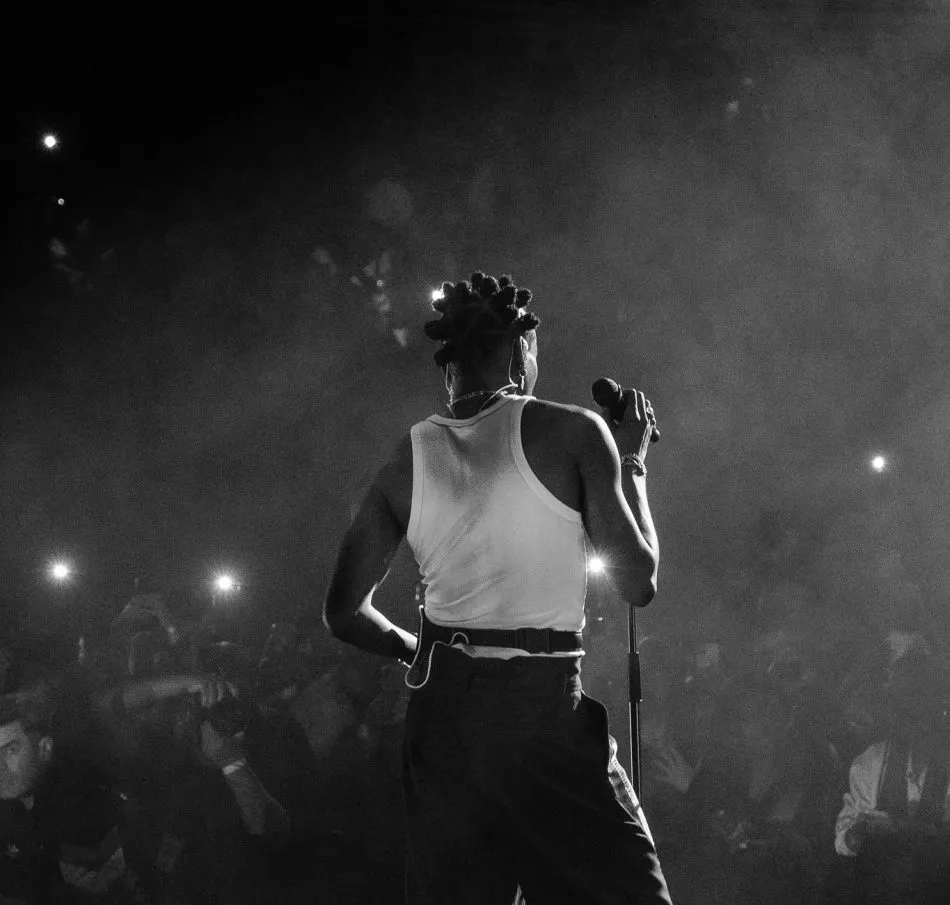 Fireboy DML – Dopamine