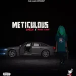 Chella – Meticulous Ft. Young Clique